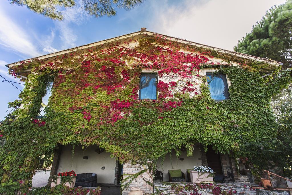 Pieve Del Castello Villa Дерута Екстериор снимка