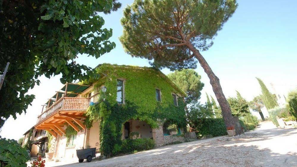 Pieve Del Castello Villa Дерута Екстериор снимка